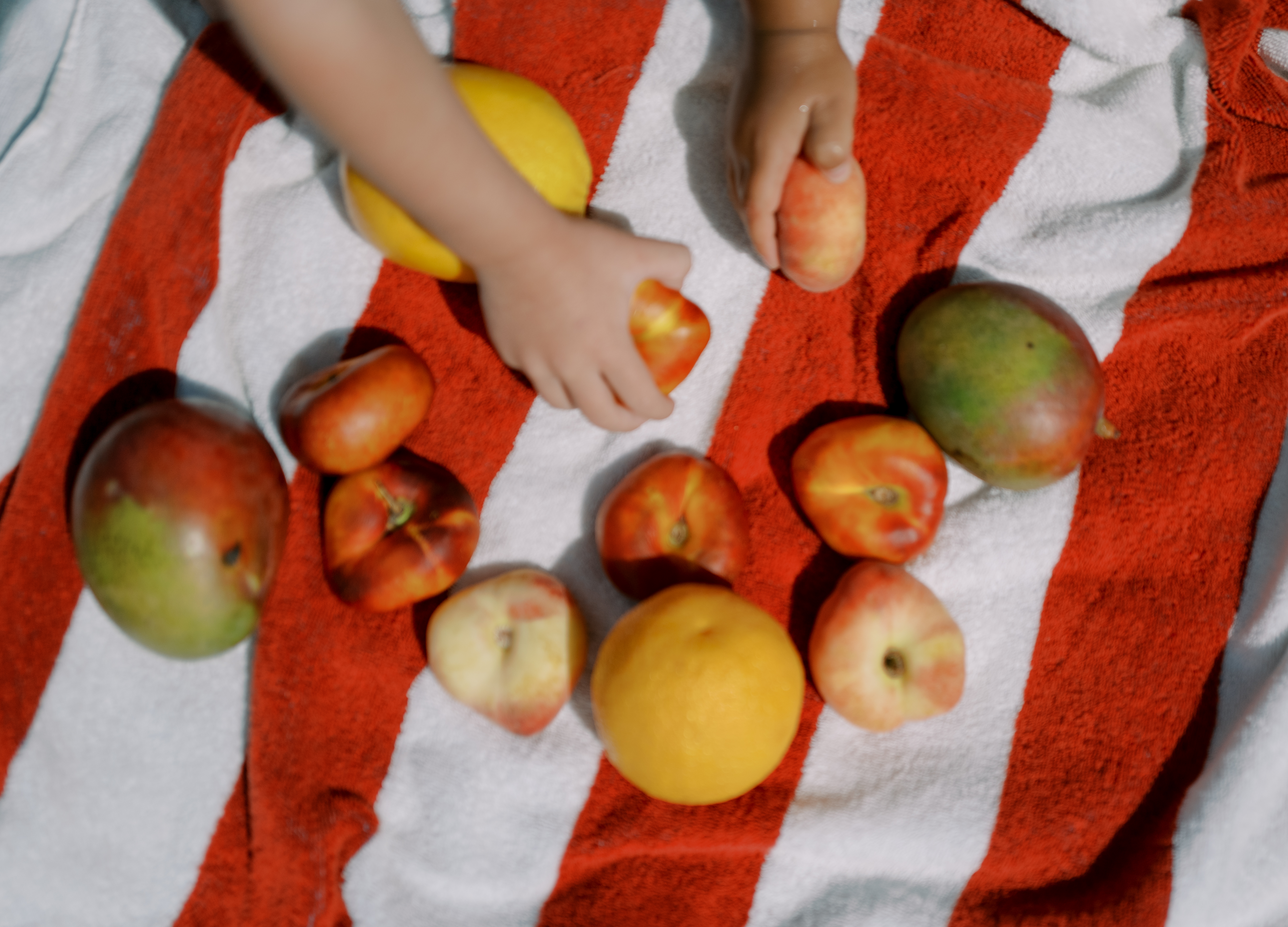 A child's hands reaching for fresh peaches, nectarines and mangoes on a red-and-white striped towel in the summer sun